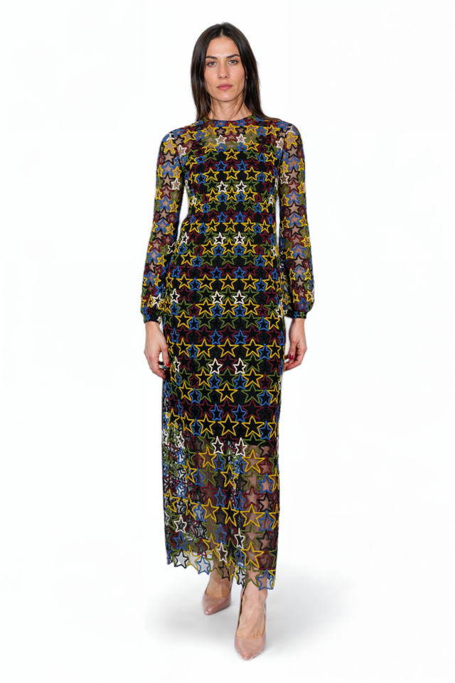 Valentino Star Embroidered Sheer Evening Dress