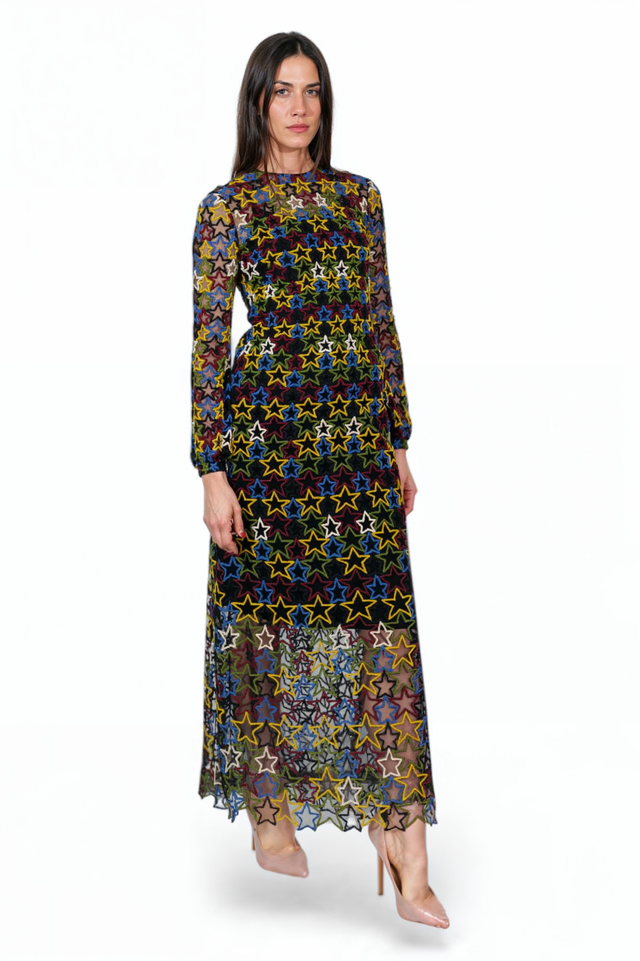Valentino Star Embroidered Sheer Evening Dress