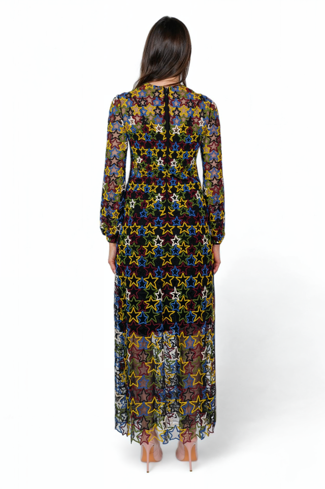 Valentino Star Embroidered Sheer Evening Dress