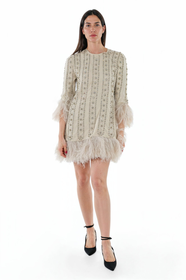 Valentino Feather Embellished Mini Dress