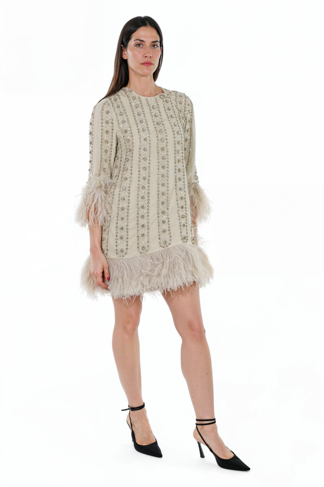Valentino Feather Embellished Mini Dress