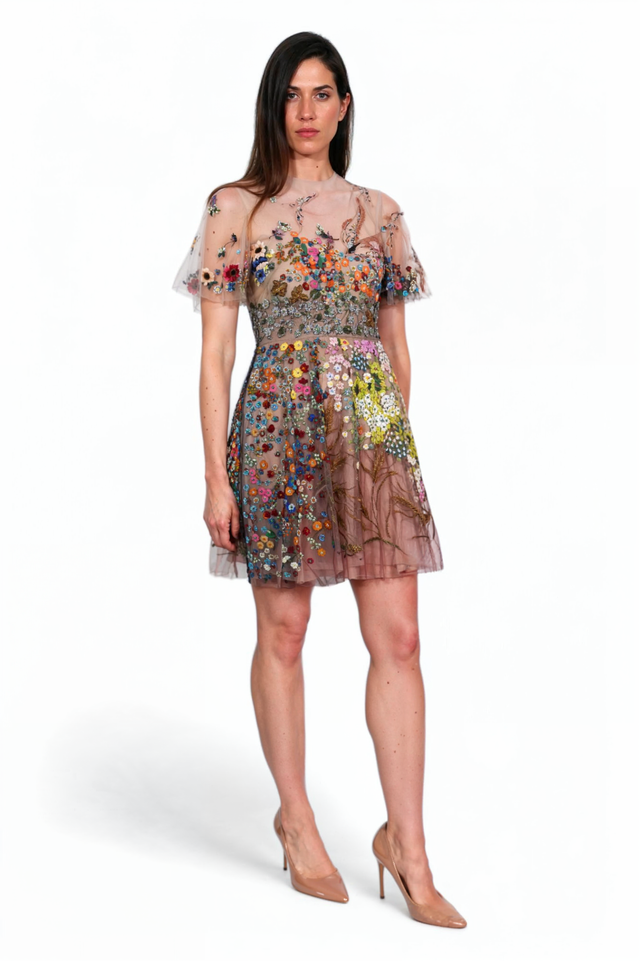 Valentino Embroidered Tulle Mini Dress with Floral Appliqué