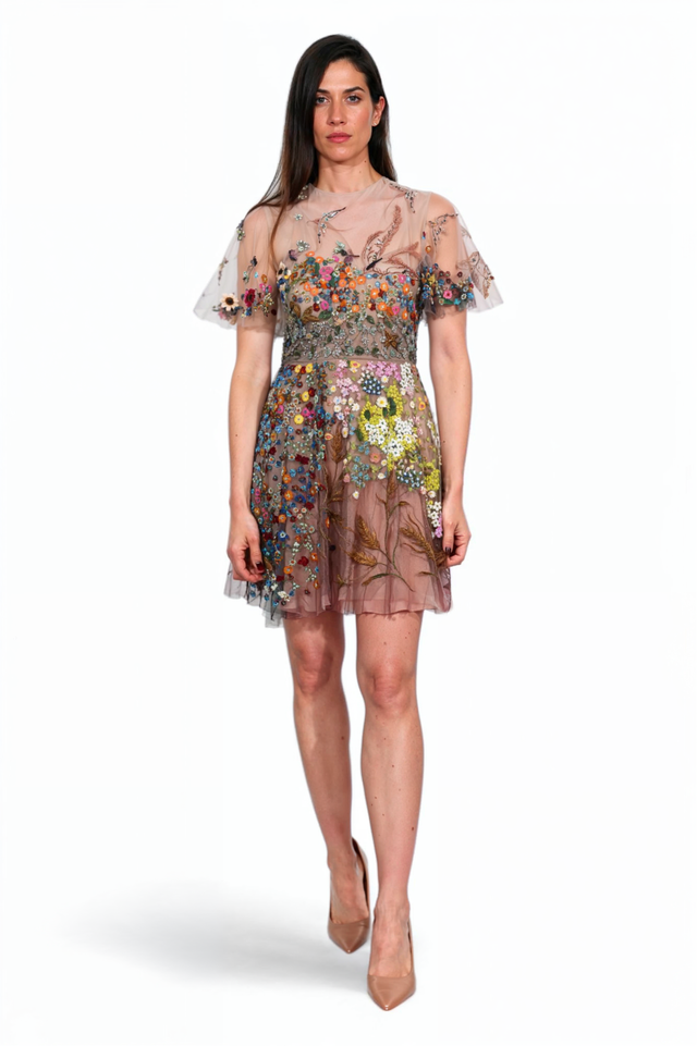 Valentino Embroidered Tulle Mini Dress with Floral Appliqué
