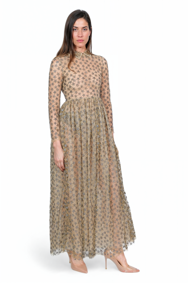 Valentino Sheer Star-Embroidered Gown with Collared Detail