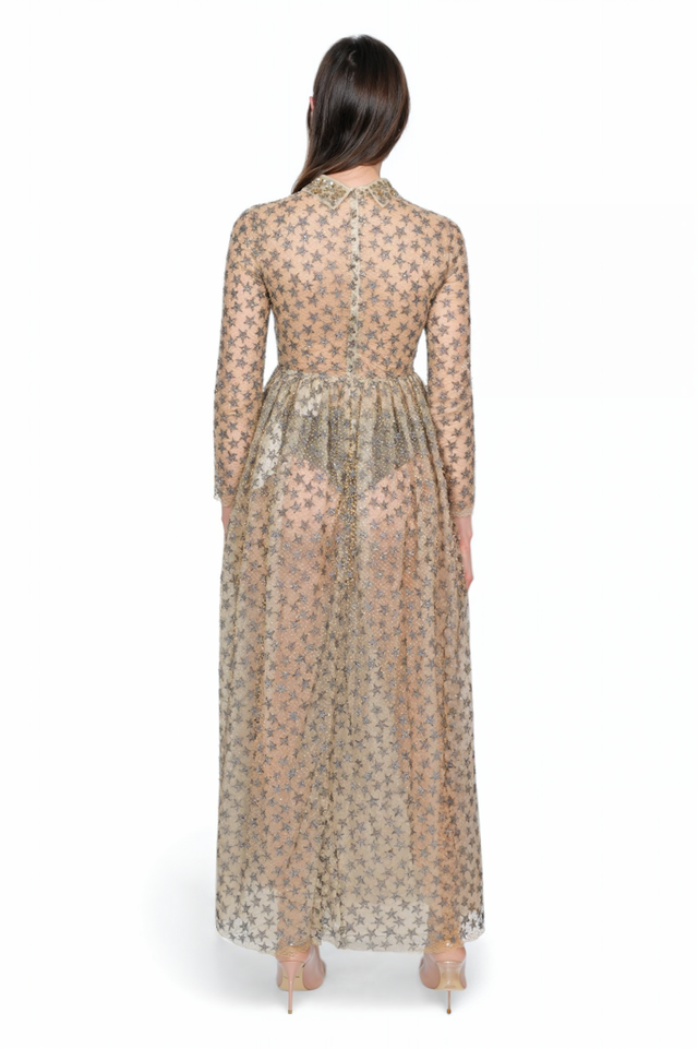 Valentino Sheer Star-Embroidered Gown with Collared Detail