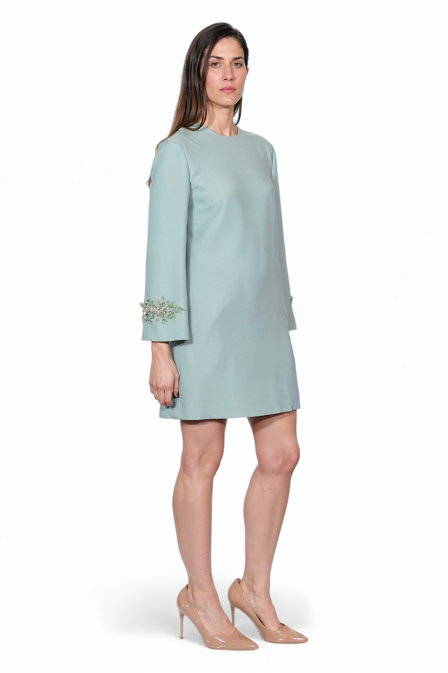Valentino Embellished Sleeve A-Line Mini Dress in Sage Green