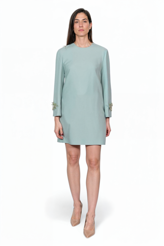 Valentino Embellished Sleeve A-Line Mini Dress in Sage Green