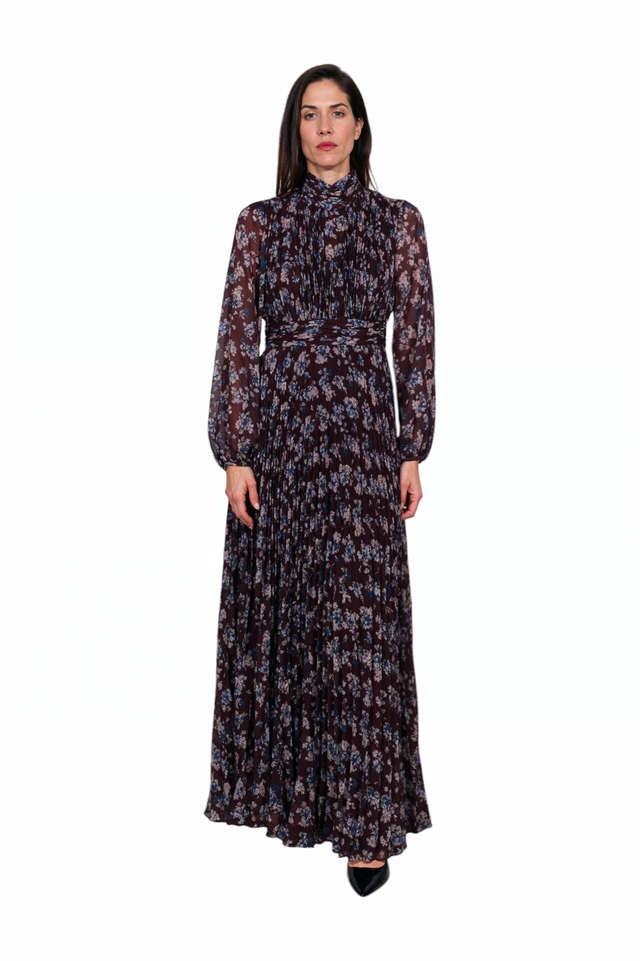 Mikael Aghal Floral Pleated Chiffon Maxi Dress