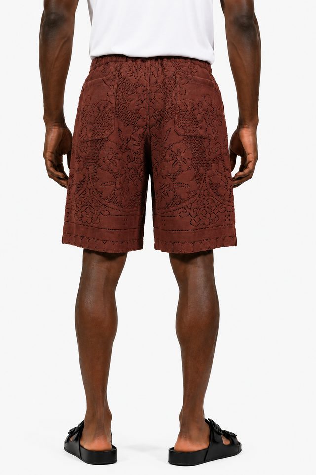 Valentino Lace Knit Shorts in Chocolate Brown & Ivory