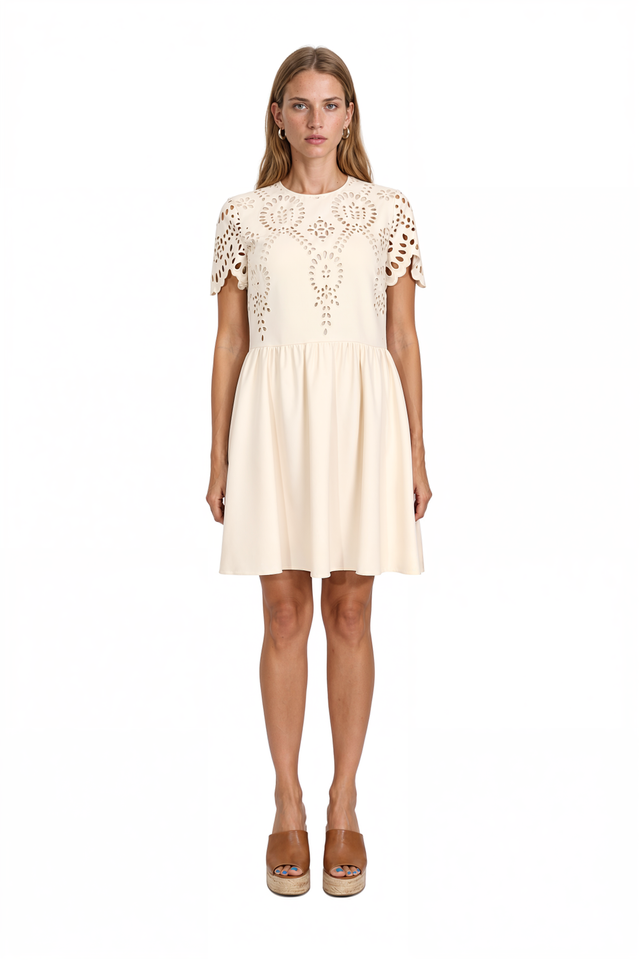 Valentino Broderie Anglaise Mini Dress