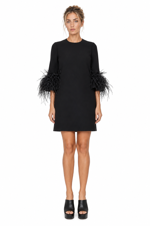 Valentino Feather-Trim Caddy Mini Dress in Black