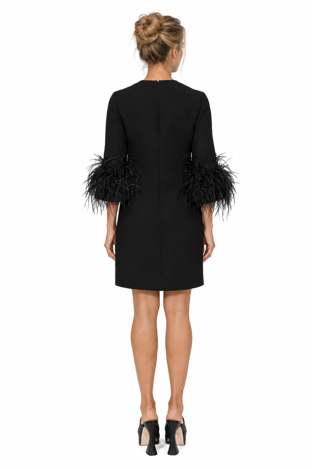 Valentino Feather-Trim Caddy Mini Dress in Black