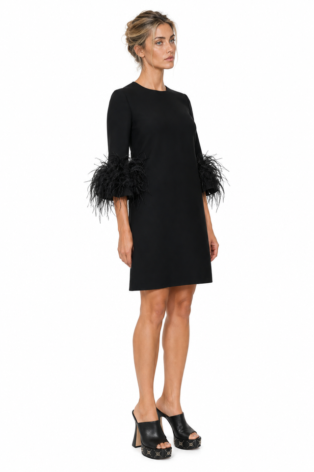 Valentino Feather-Trim Caddy Mini Dress in Black