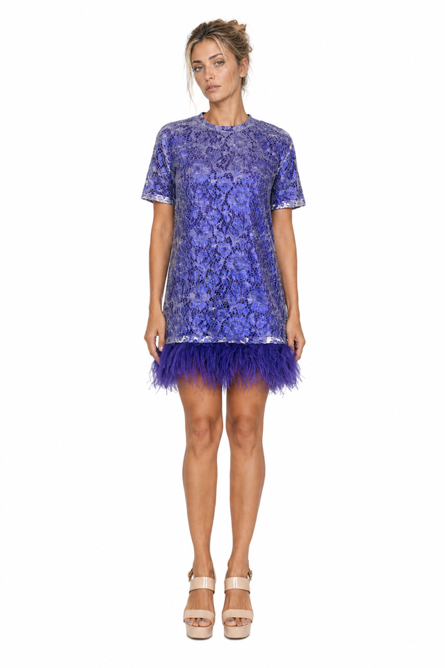 Valentino Lace Sequined Feather-Trim Mini Dress