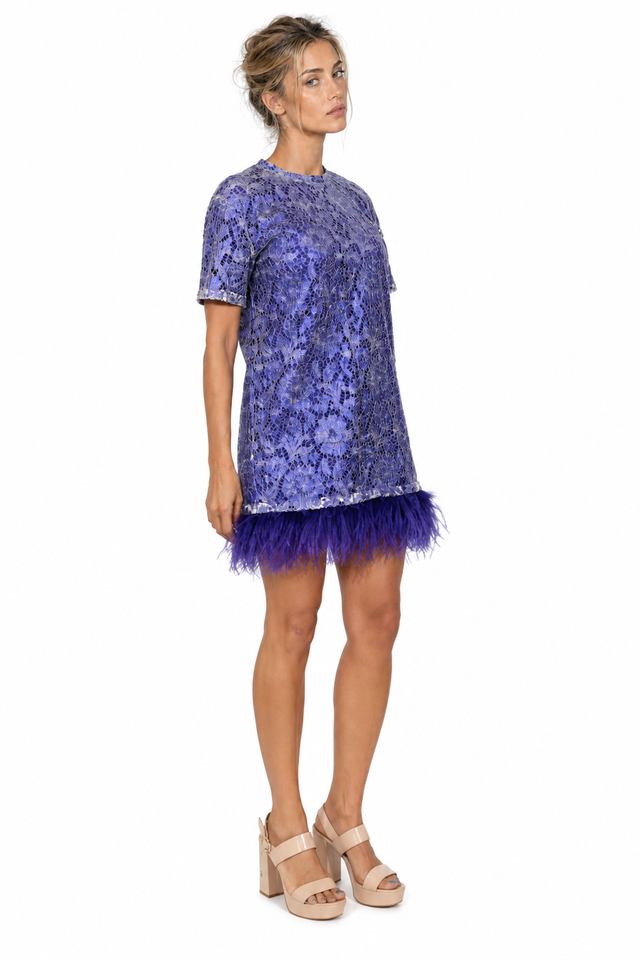 Valentino Lace Sequined Feather-Trim Mini Dress