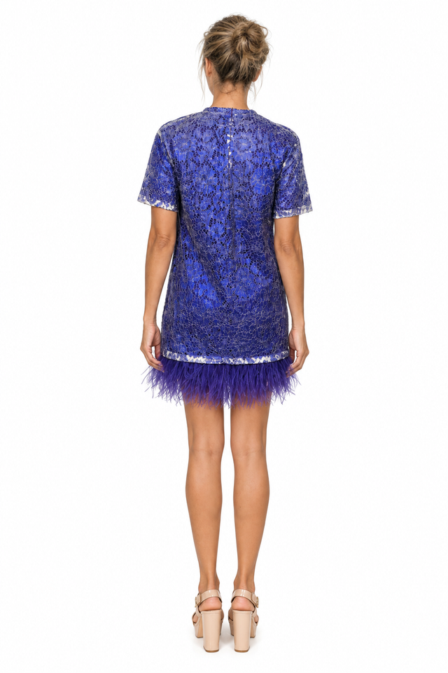 Valentino Lace Sequined Feather-Trim Mini Dress