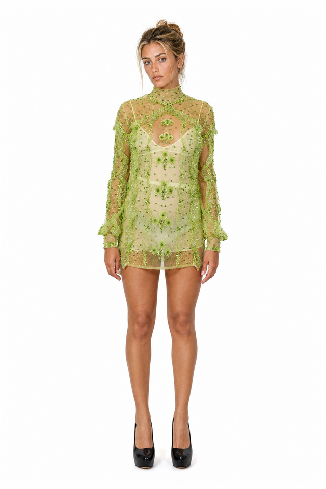 Valentino Embellished Sheer Tulle High-Neck Mini Dress in Chartreuse & Pistachio Green