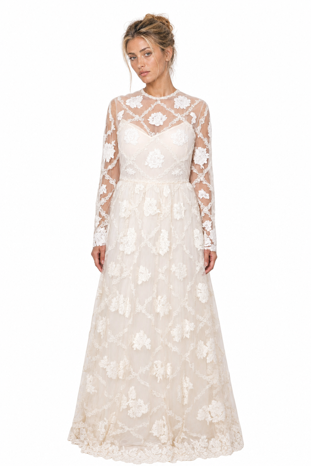 Valentino Women's Floral Embroidered Tulle Long-Sleeve Maxi Gown in Ivory & Cream