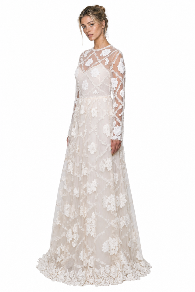 Valentino Women's Floral Embroidered Tulle Long-Sleeve Maxi Gown in Ivory & Cream