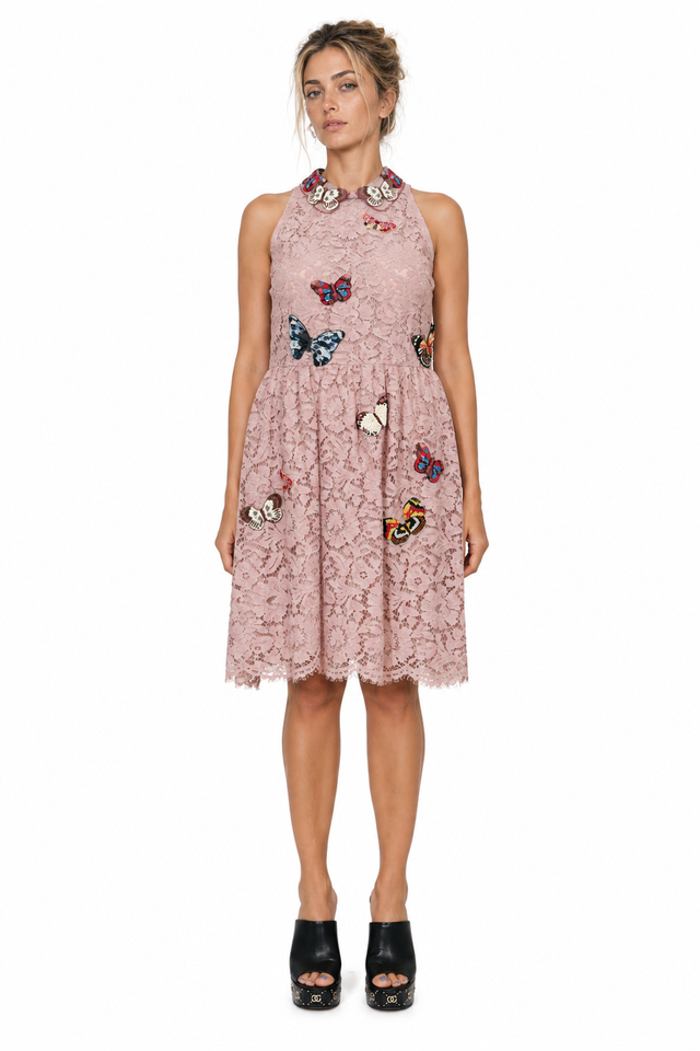 Valentino Butterfly-Appliqué Heavy Lace Dress in Dusty Pink