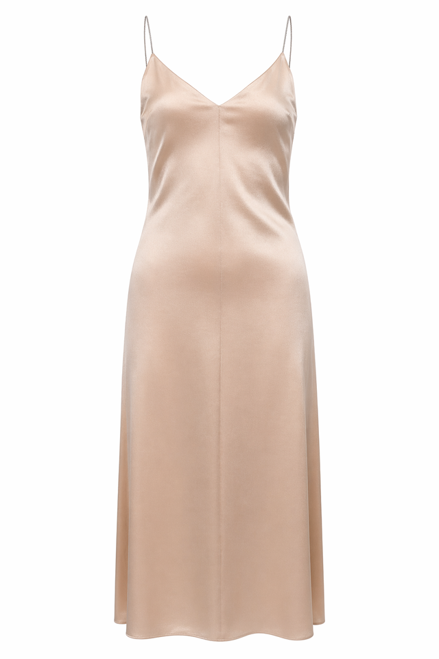 Fabiana Filippi Silk Slip Maxi Dress