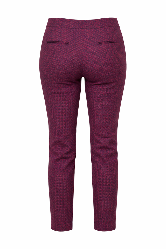 Etro Slim Fit Printed Pants in Red Micro Pattern